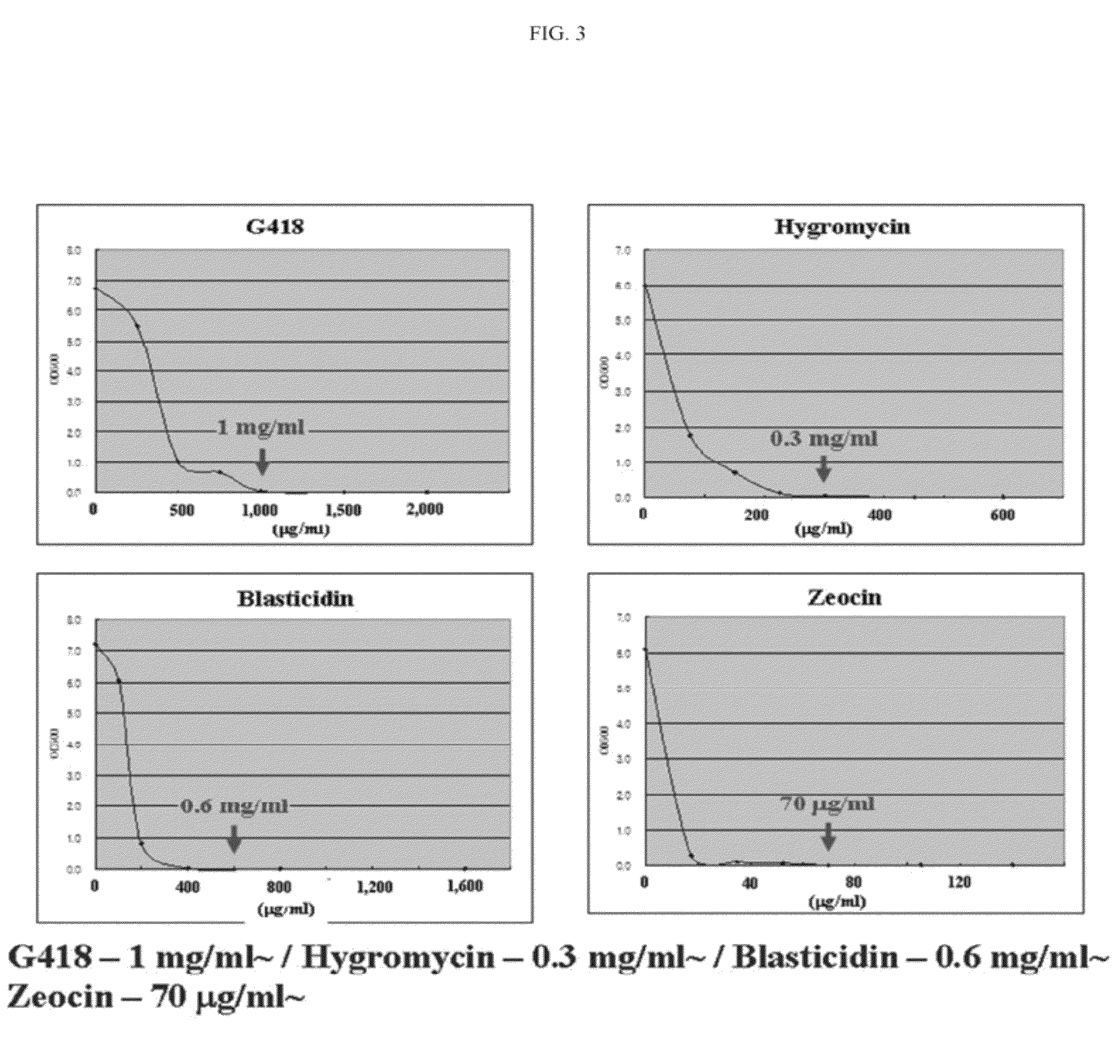 Method for transforming stramenopiles