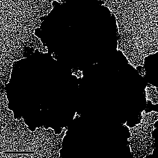 Hollow copper sulphide/polypyrrole nanometer compound and application thereof