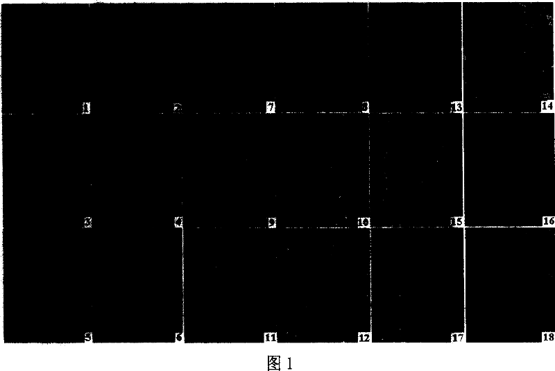 Small molecule interfering RNA and its anti-tumor use