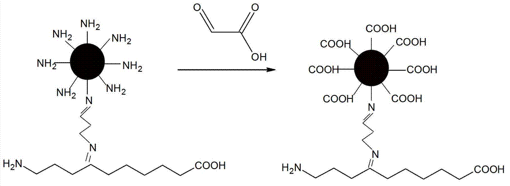 Preparation method of carboxyl-terminated hyperbranched polyesteramide collagenous fiber adsorbing material