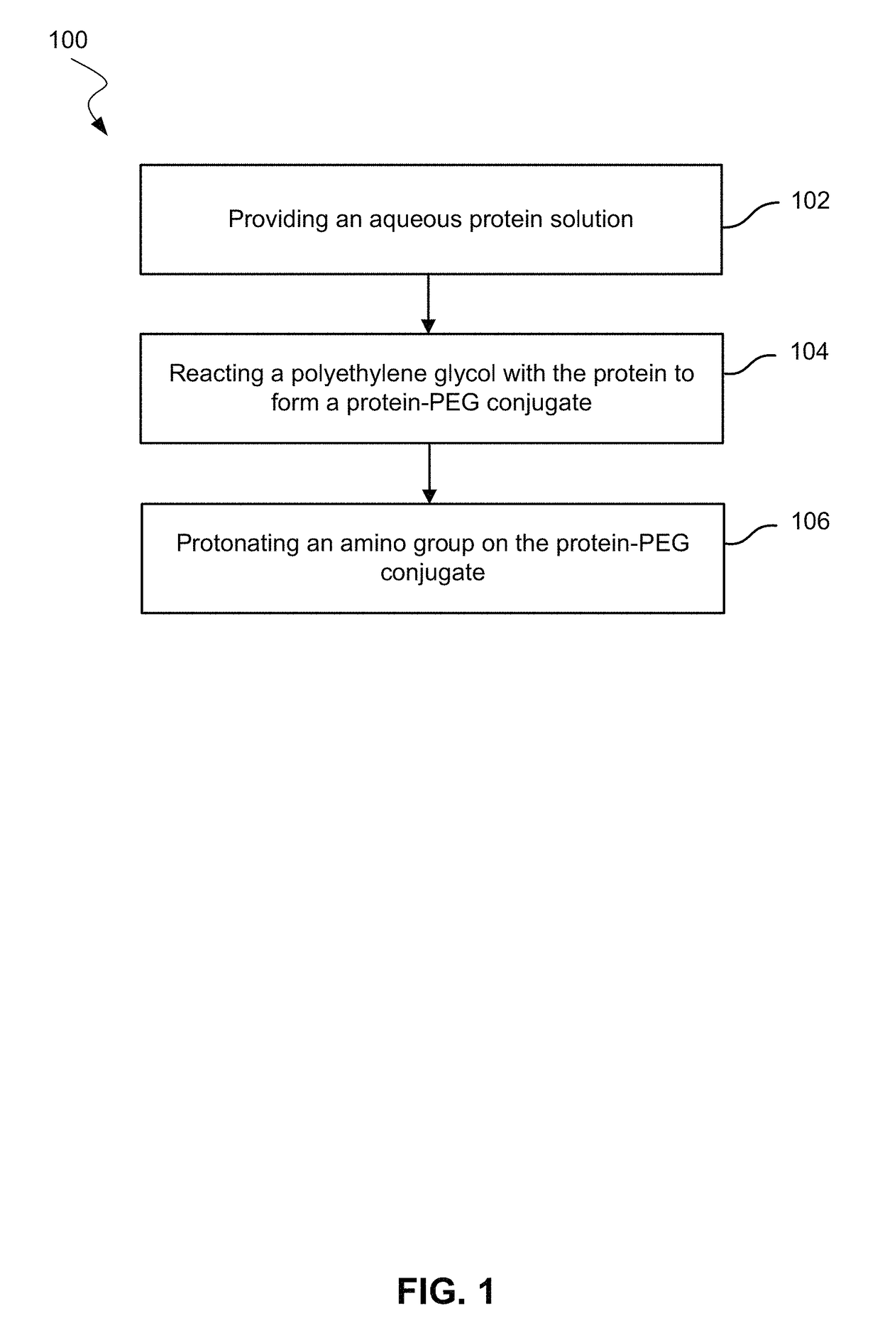 Use of hydrophobic organic acids to increase hydrophobicity of proteins and protein conjugates