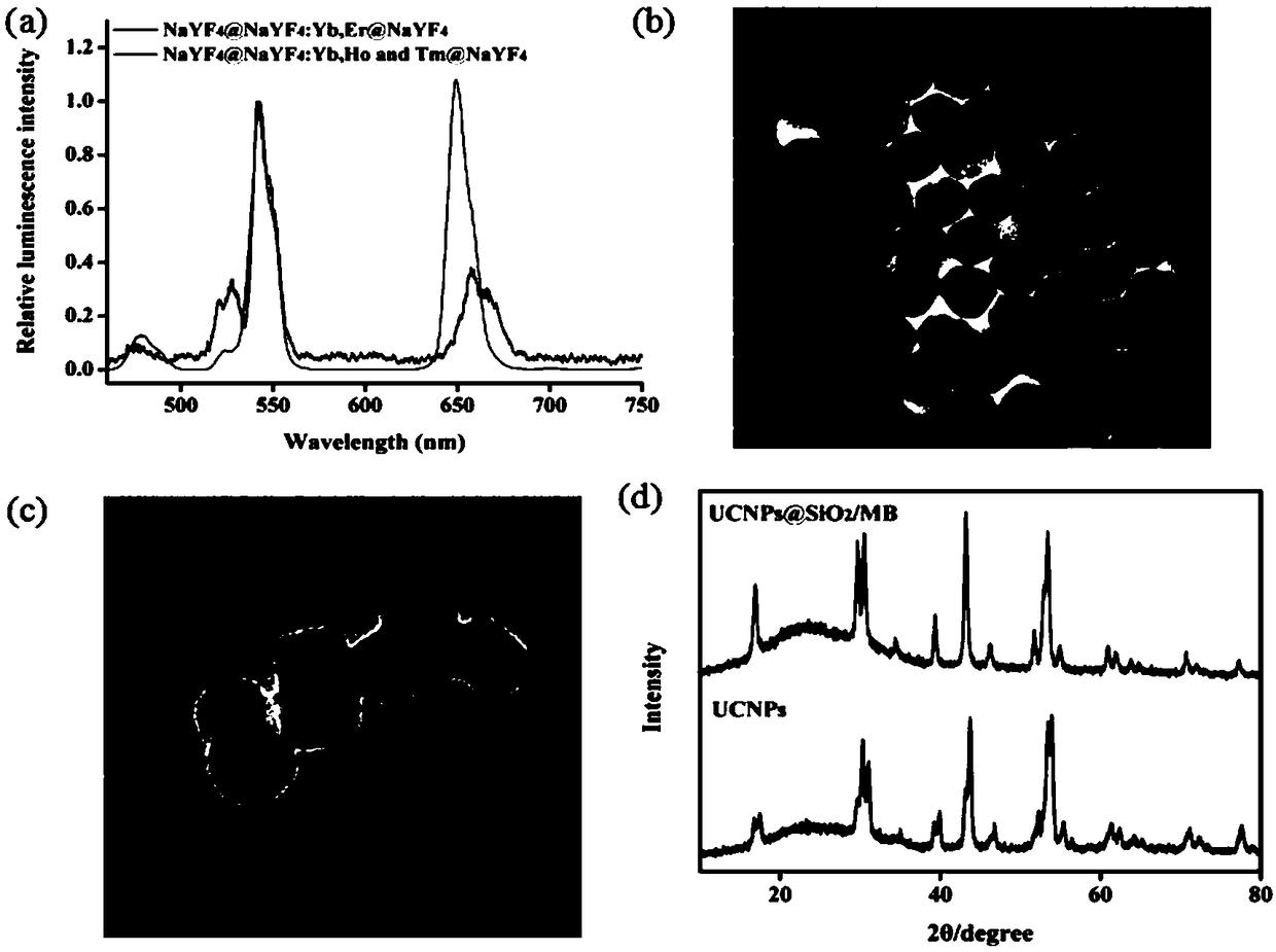 Targeted photodynamic nano probe based on upconversion nano particles and ultrathin silicon dioxide layer