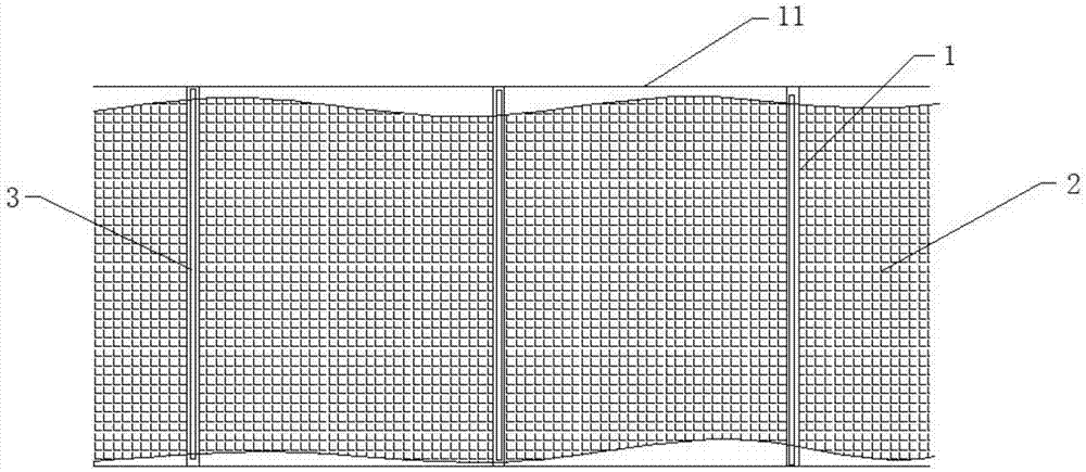 Vegetation protective cover