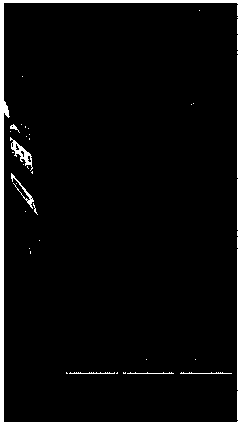 Method and system for realizing three-dimensional desktop shortcut bar switching