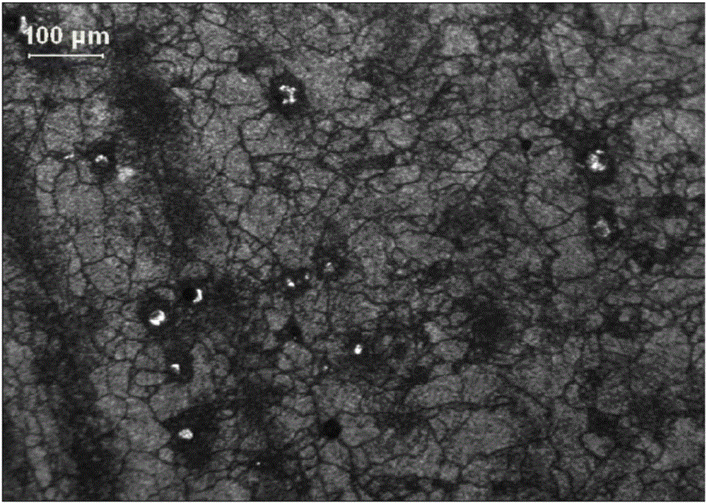 Method for preventing DD99 alloy single crystal blade from generating initial melting defect