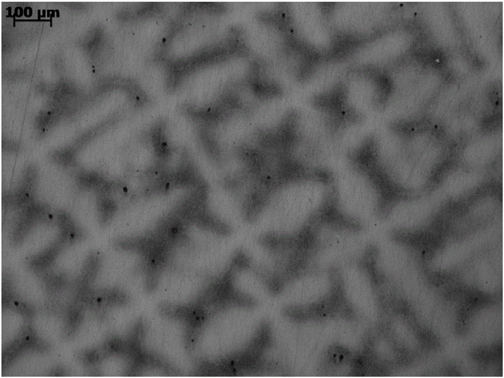 Method for preventing DD99 alloy single crystal blade from generating initial melting defect