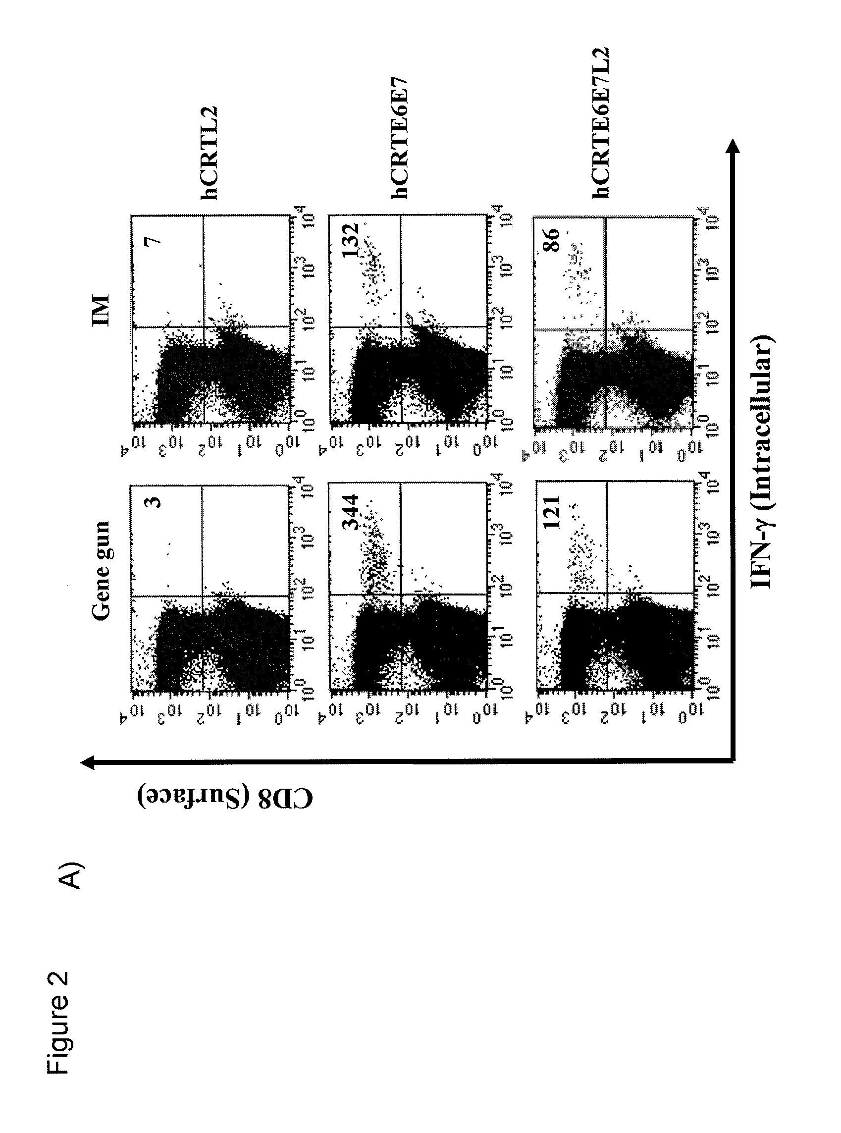 HPV DNA Vaccines and Methods of Use Thereof