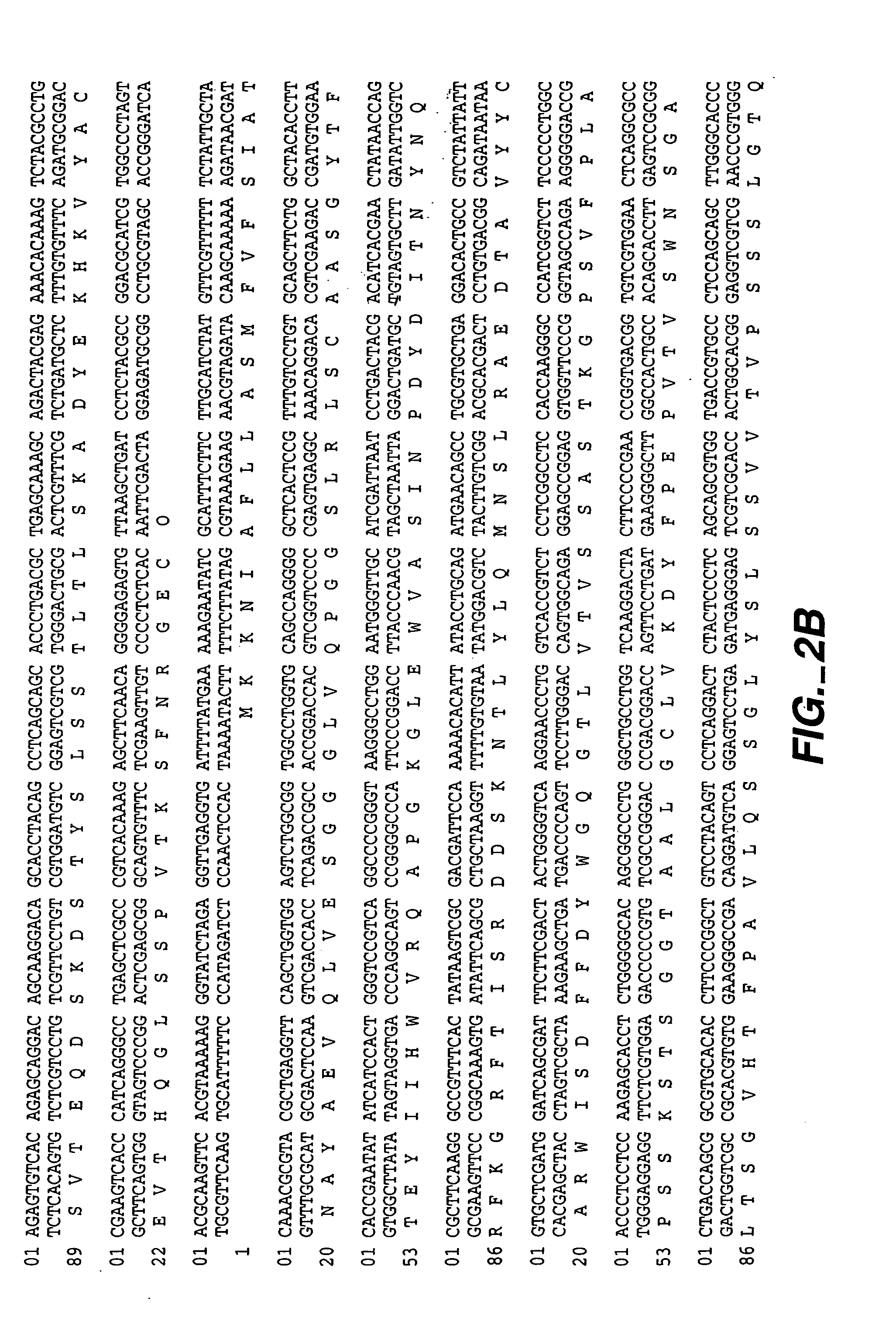 Immunoglobulin variants and uses thereof