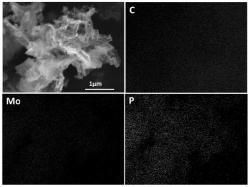 Porous flaky molybdenum phosphide/carbon composite material and preparation method thereof