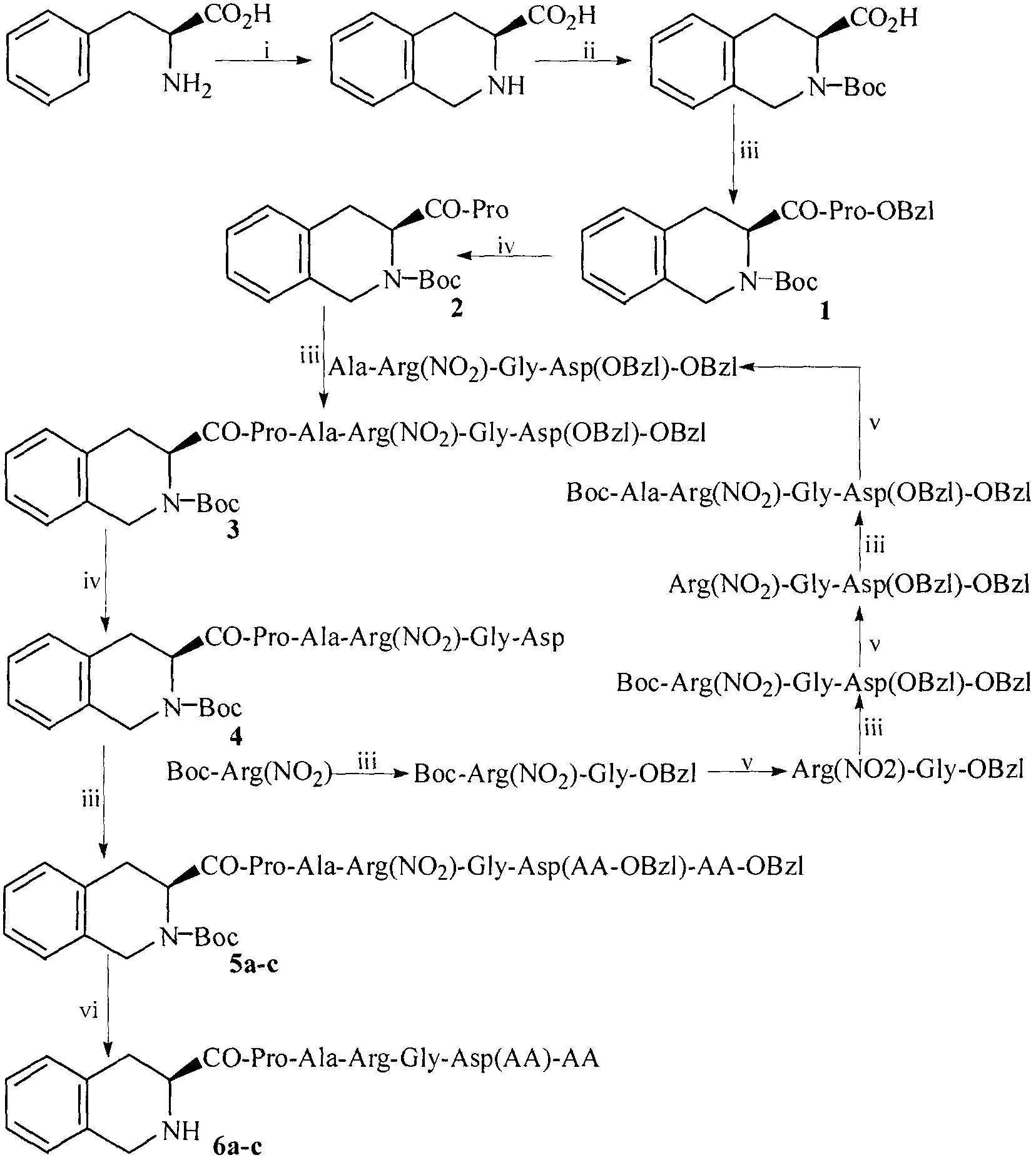 Tetrahydroisoquinolinyl-3-carboxylic acid modified PARGD heptapeptides, and synthesis, antithrombotic activity and application thereof