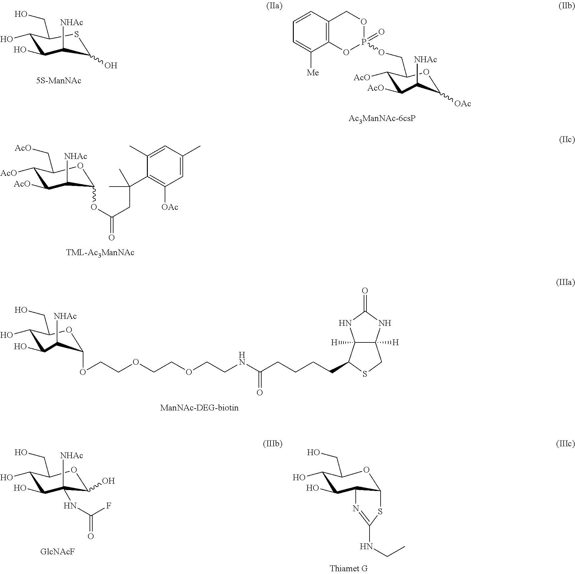 Methods for inducing orexin neurons and agent for treating narcolepsy or eating disorder