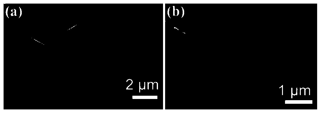 Lithium-oxygen/air cell and preparation method thereof