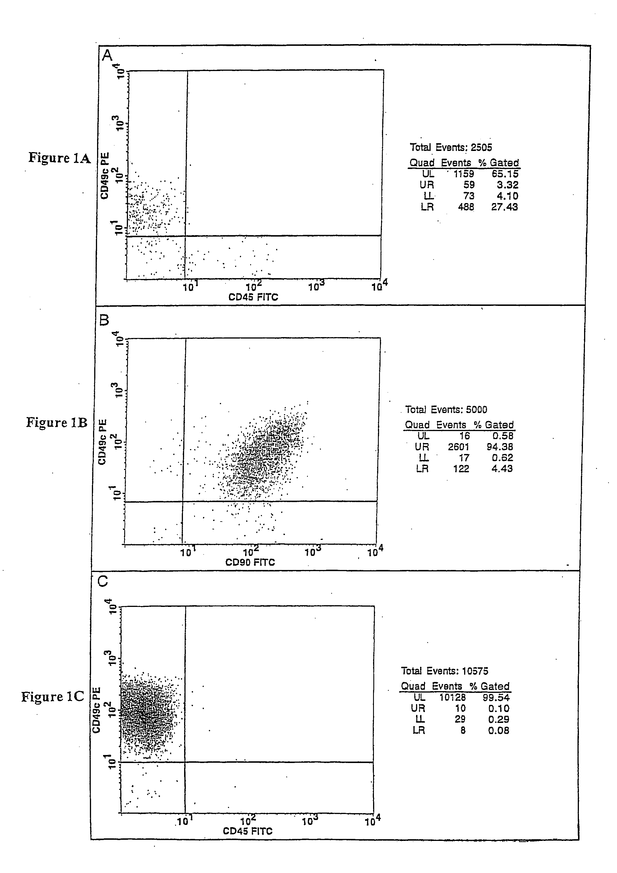 Cell populations which co-express CD49c and CD90