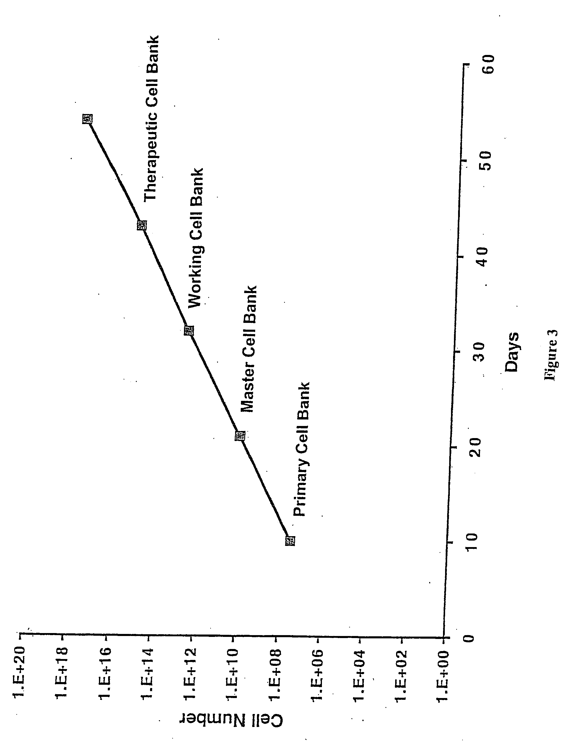 Cell populations which co-express CD49c and CD90