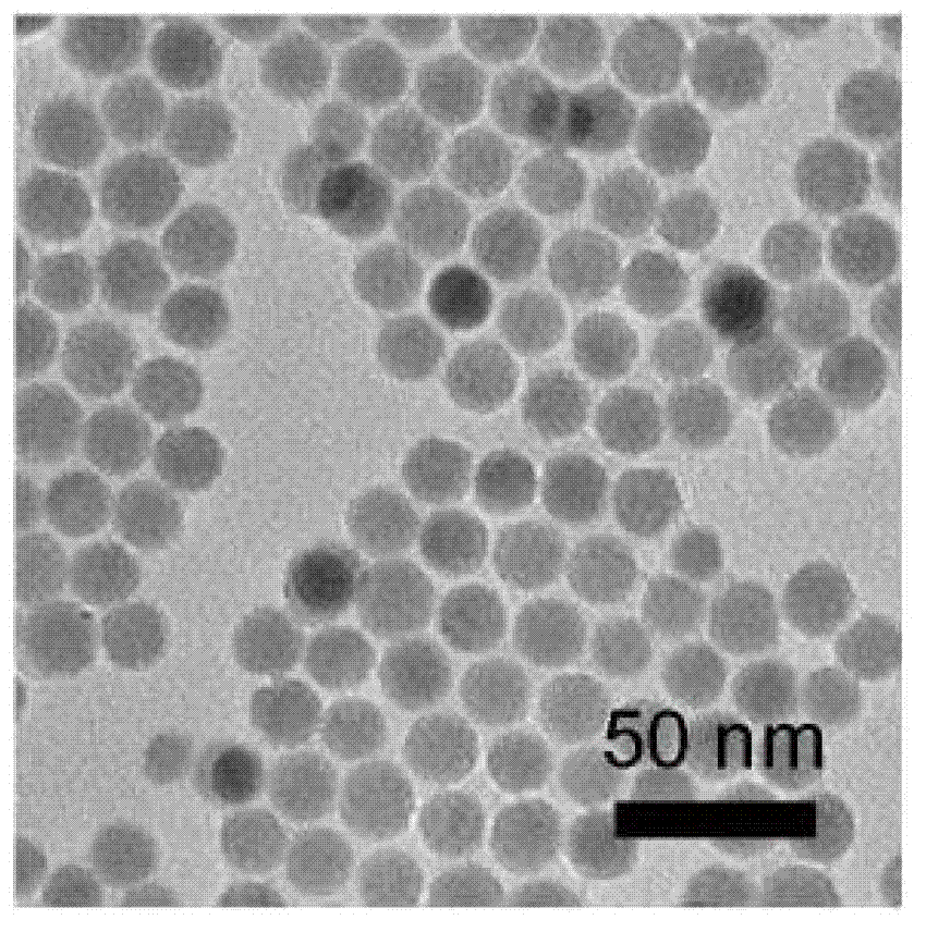 Hg2+ sensor based on upconversion NaYF4 resonance energy transfer and detection method of Hg2+ sensor