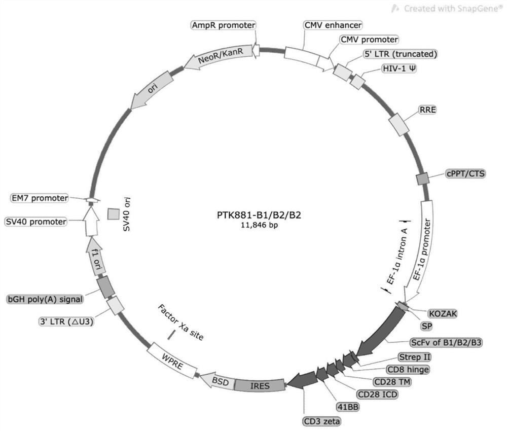 Chimeric antigen receptor taking IFNGR1 as target spot and application of chimeric antigen receptor