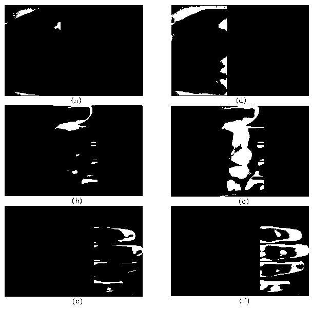 System and method for obtaining complete palm vein image