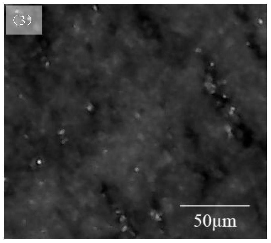 Novel magnetorheological elastomer based on dynamic polymer matrix and preparation method