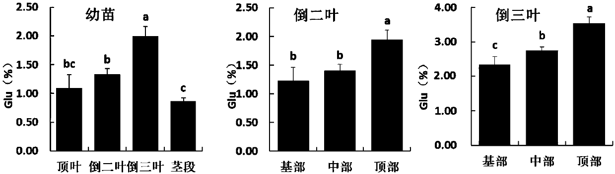 Rapid micro-determination method for soluble sugars in fresh plant leaf