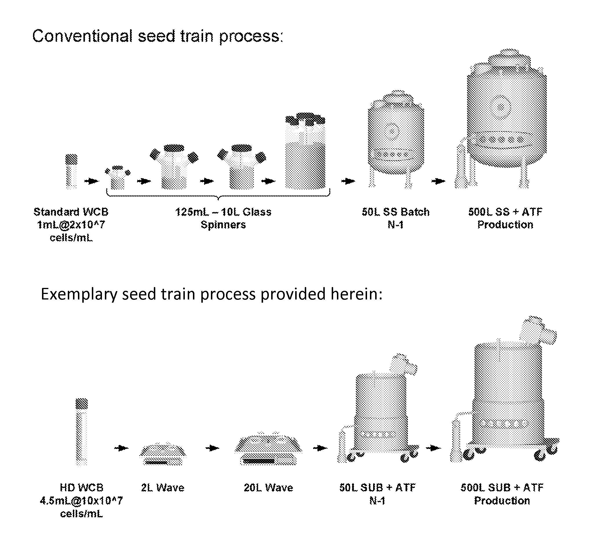 Seed Train Processes and Uses Thereof