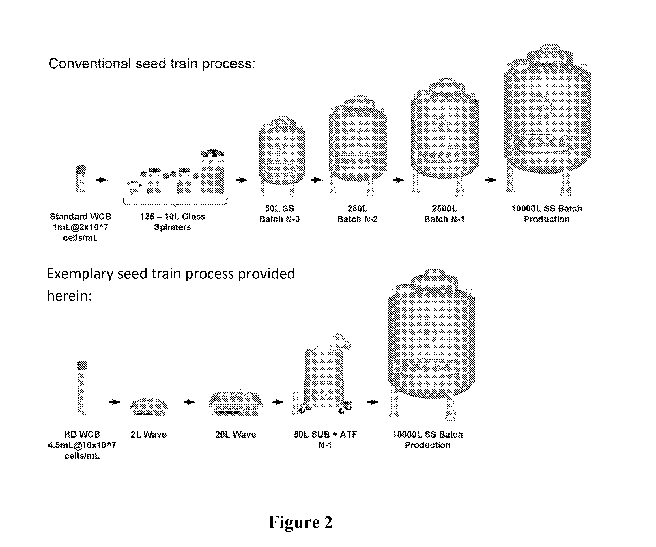 Seed Train Processes and Uses Thereof