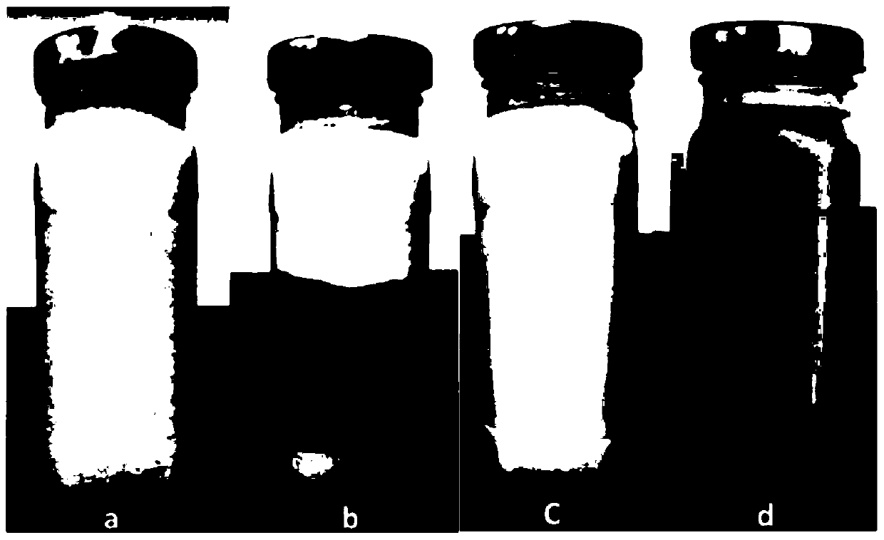 Pineapple-flavored yogurt and preparation method thereof