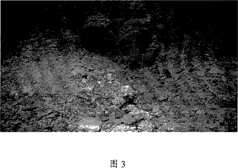 Pre-passivation method for continuous reforming device