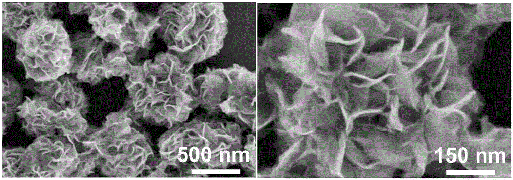 Molybdenum disulfide/graphene hollow composite microsphere and preparation method therefor