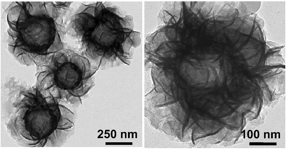 Molybdenum disulfide/graphene hollow composite microsphere and preparation method therefor