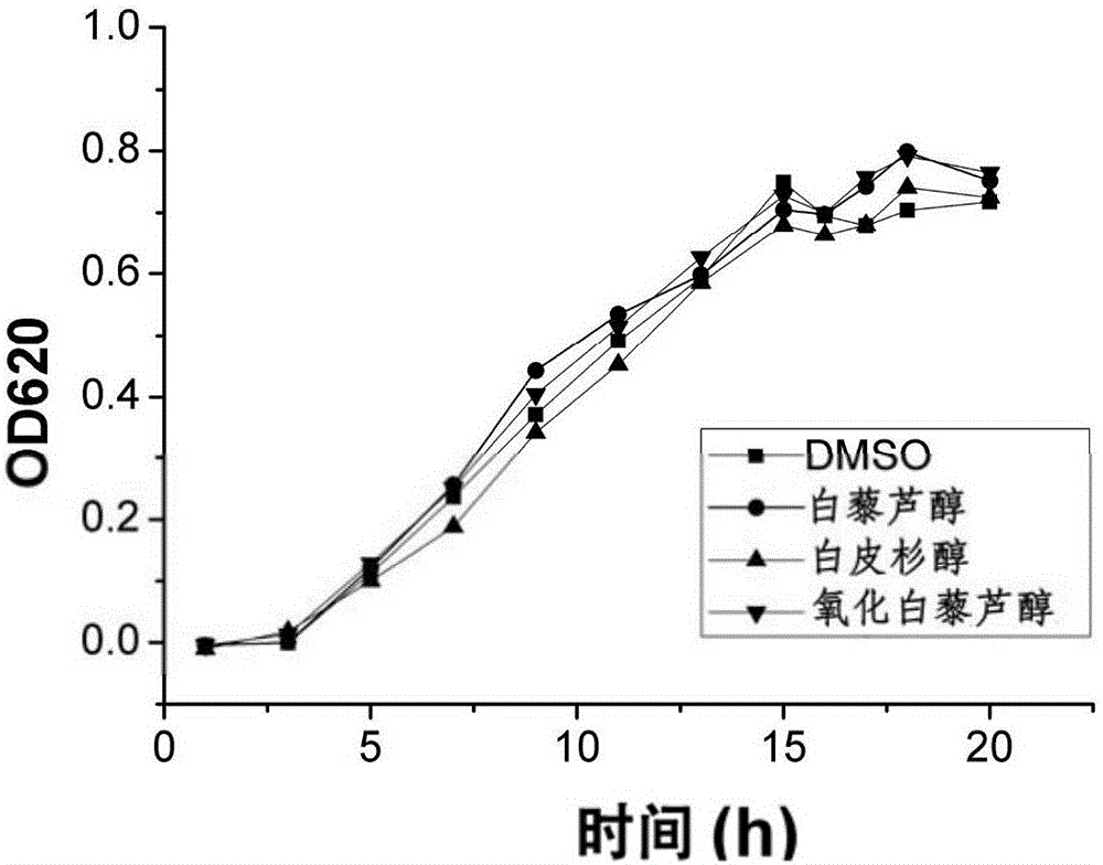 Application of stilbene compounds in inhibiting pseudomonas aeruginosa quorum sensing system