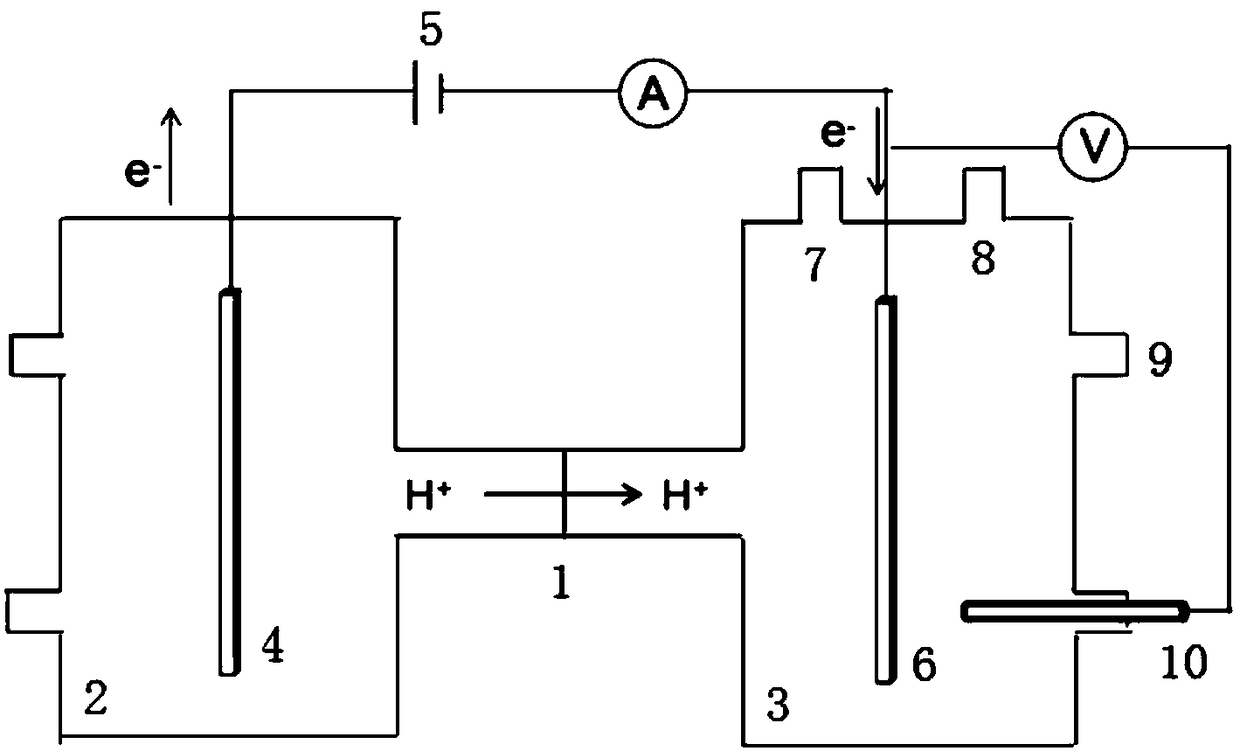 Recombinant escherichia coli and construction method and application thereof