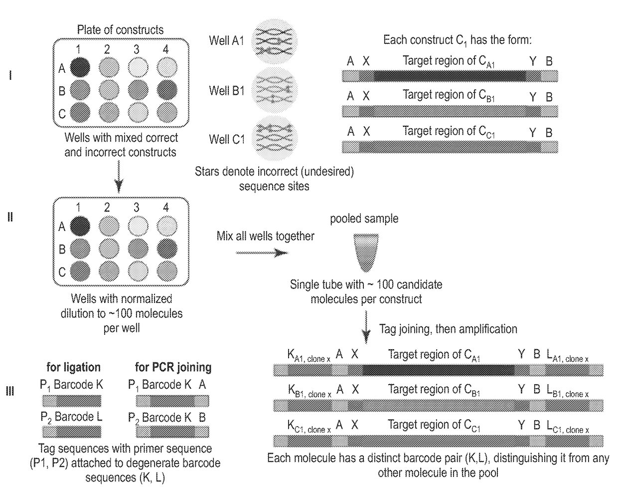 Methods for Nucleic Acid Assembly