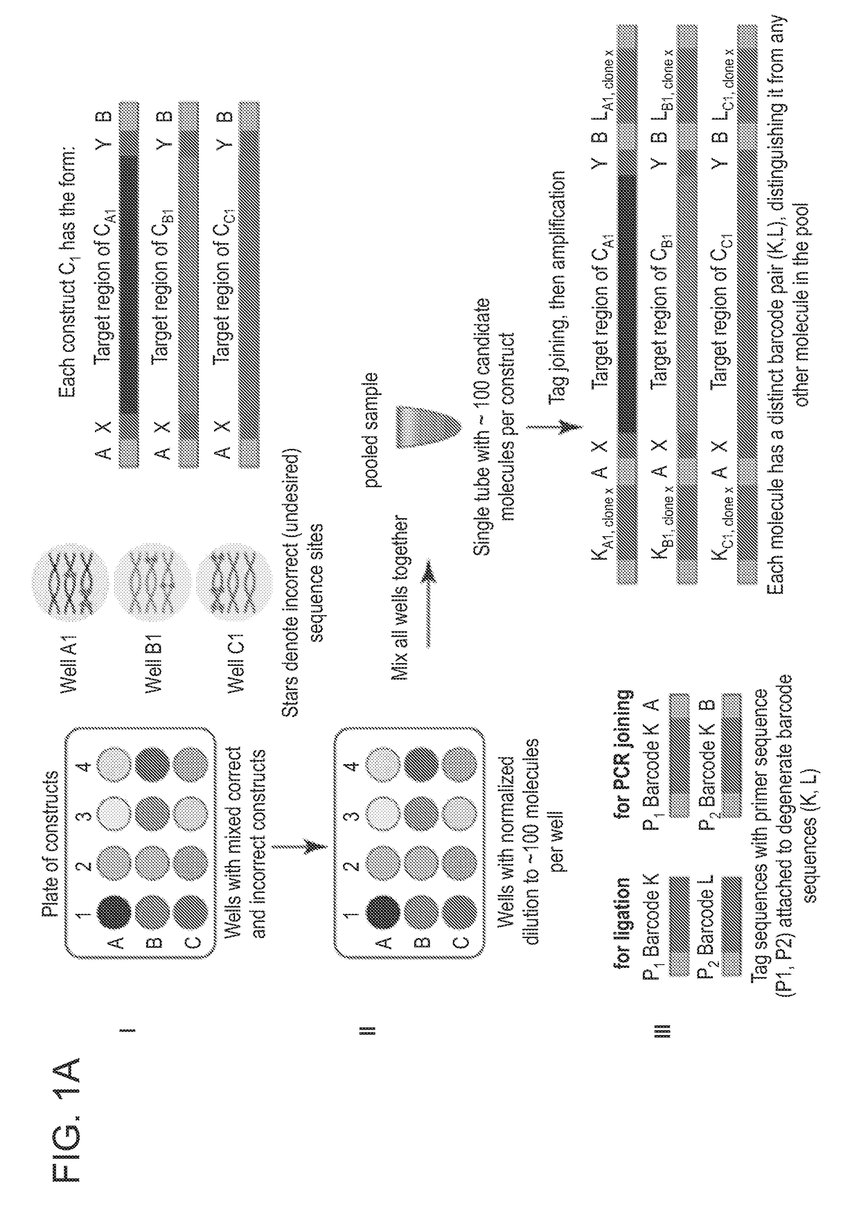 Methods for Nucleic Acid Assembly