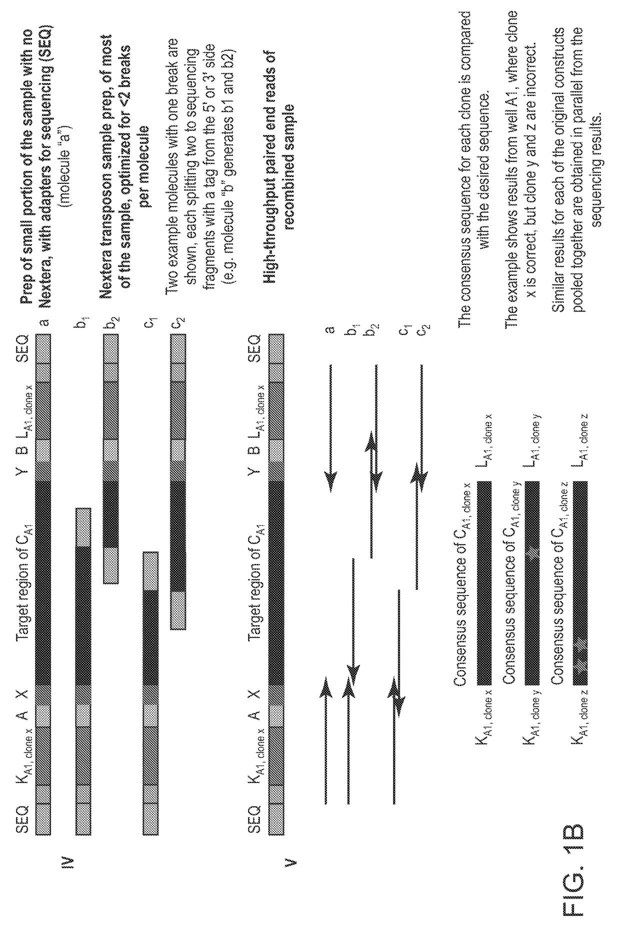 Methods for Nucleic Acid Assembly