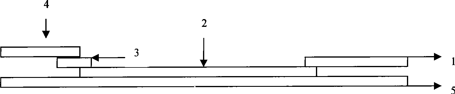 Test strip for rapid detection of brucella