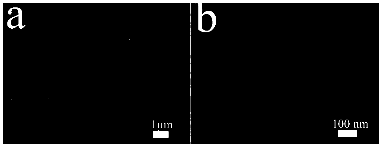 One-dimensional porous carbon nanometer fiber material and preparation method and application thereof