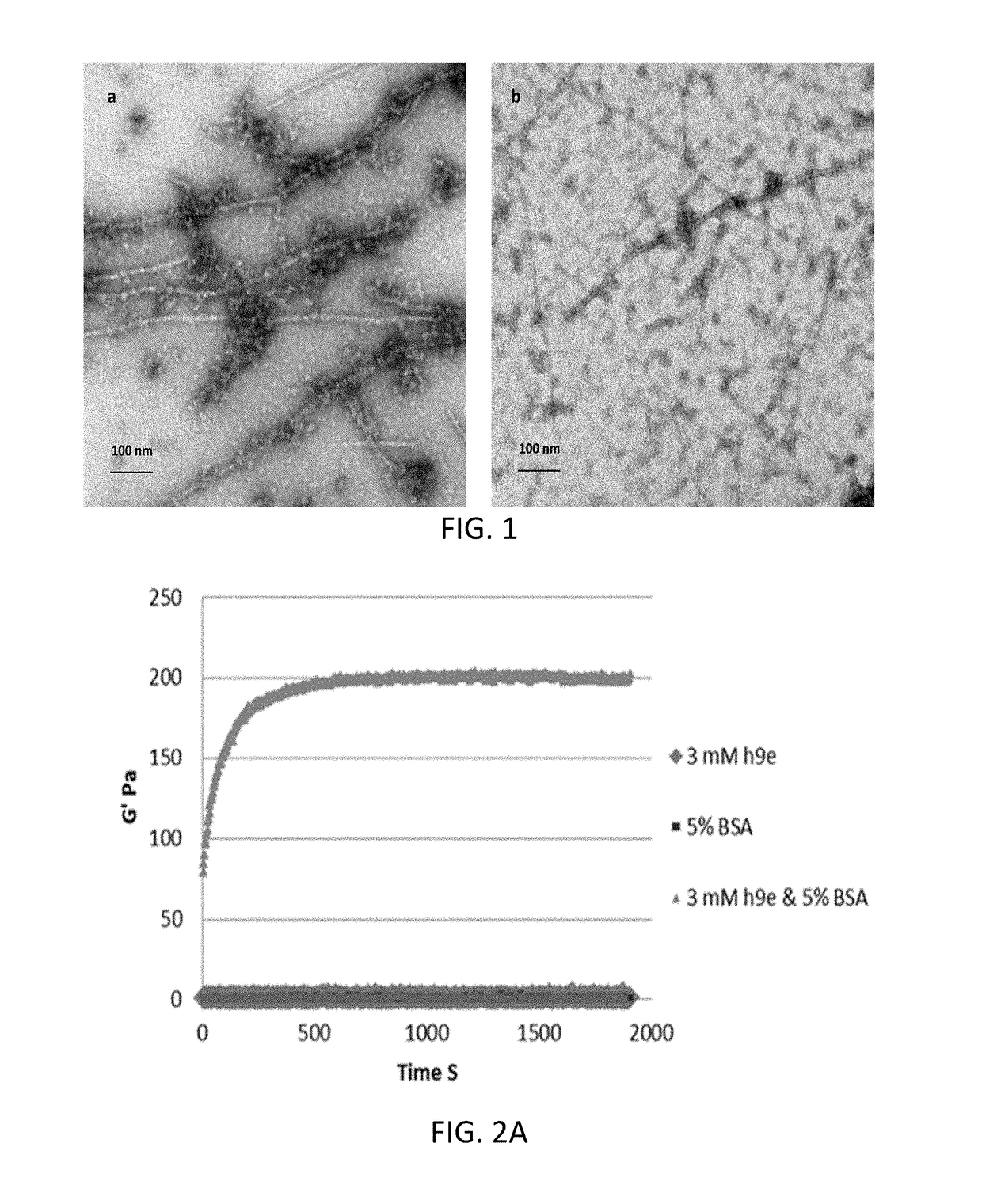 Peptide hydrogel properties and its applications