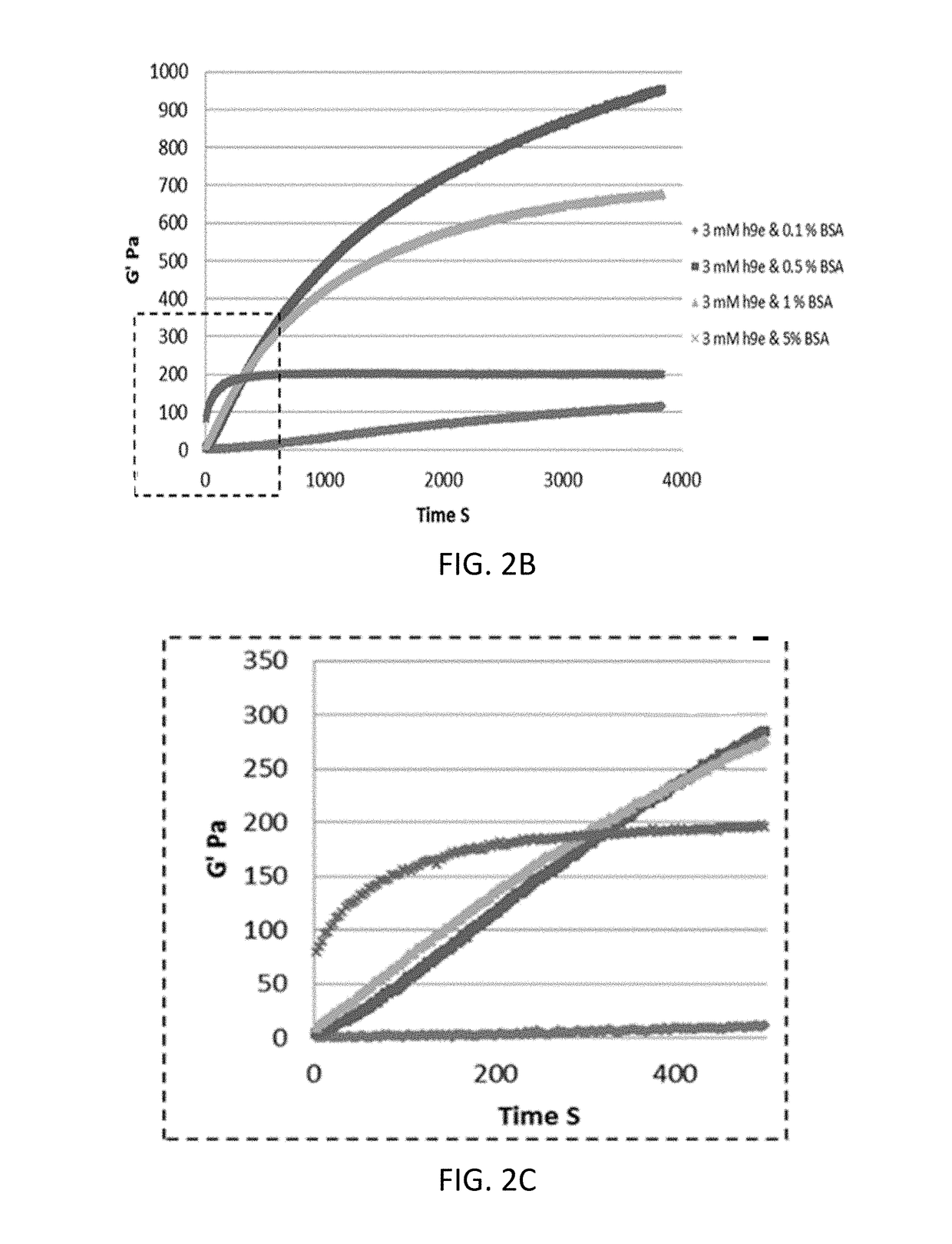 Peptide hydrogel properties and its applications