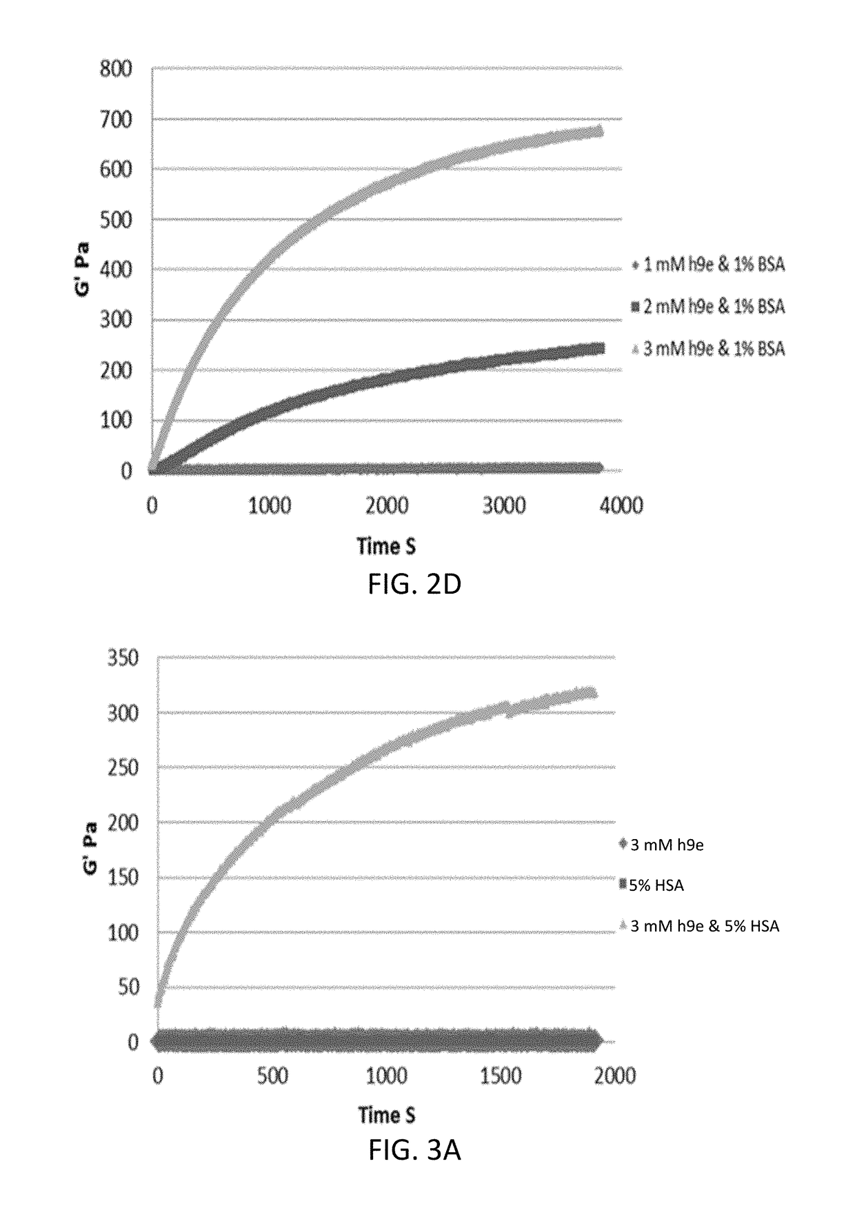 Peptide hydrogel properties and its applications