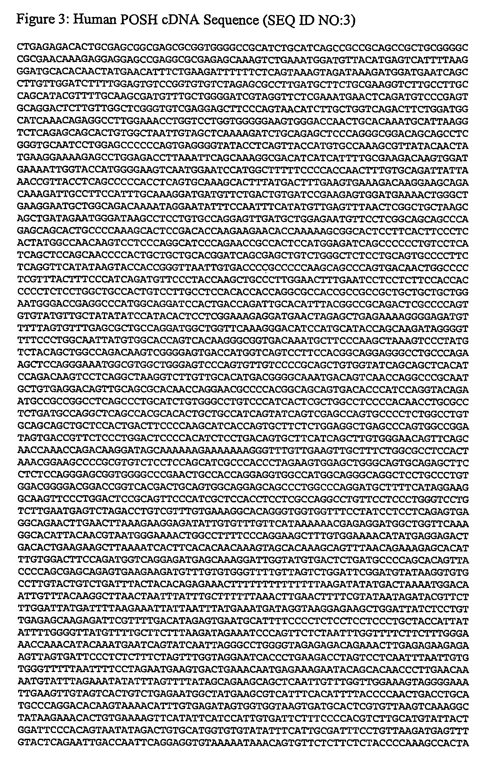 Cbl-b polypeptides, complexes and related methods