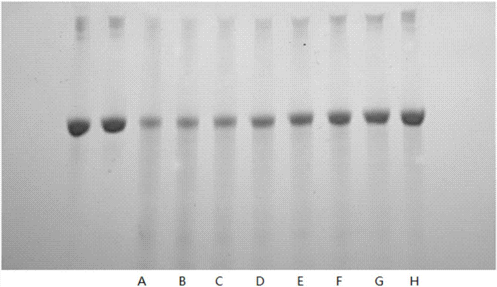 Application of 10B-containing compound in preparation of medicine specifically combined with beta amyloid protein