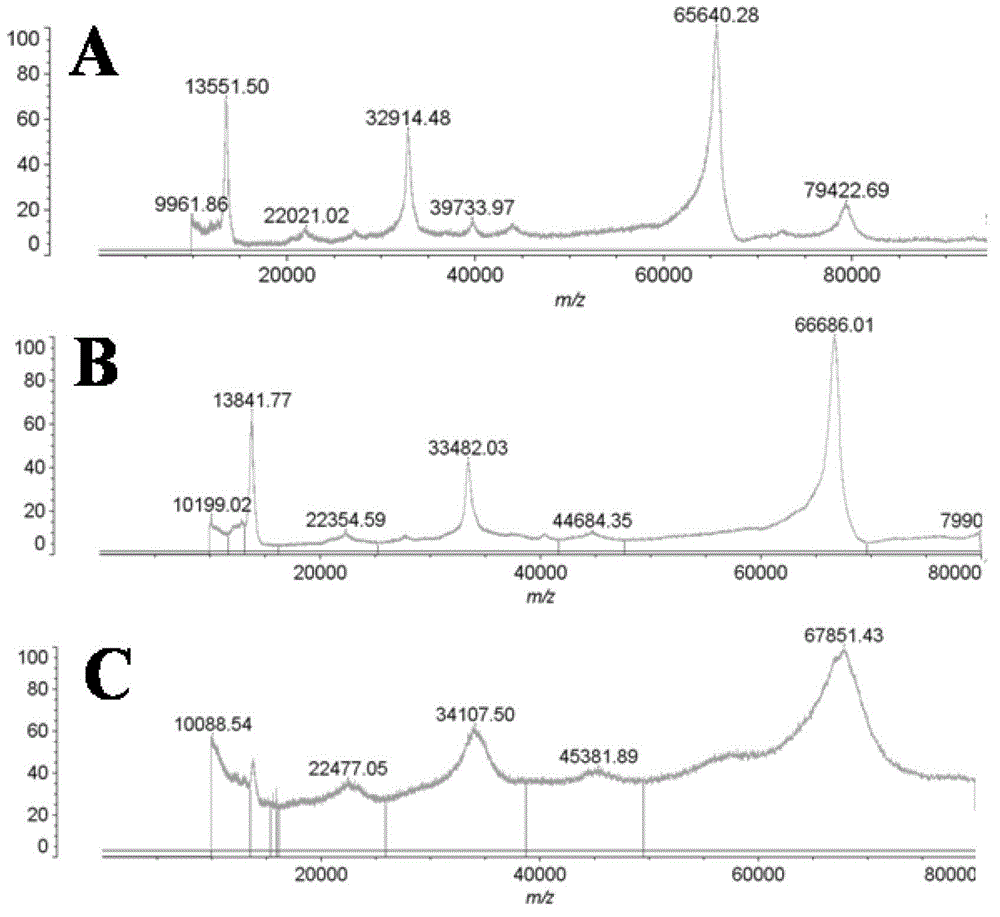 Tumor targeting photosensitizers and preparation methods and applications of photosensitizers