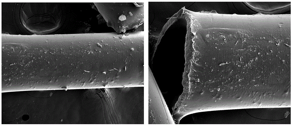 High oil-absorbing polyacrylonitrile hollow activated carbon fiber and preparation method thereof