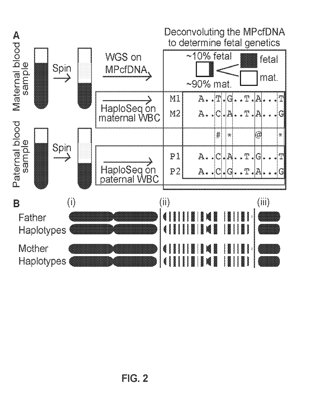 Accurate molecular deconvolution of mixture samples