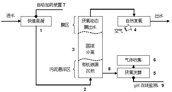 Process and device of low energy consumption sewage treatment based on carbon source recovery