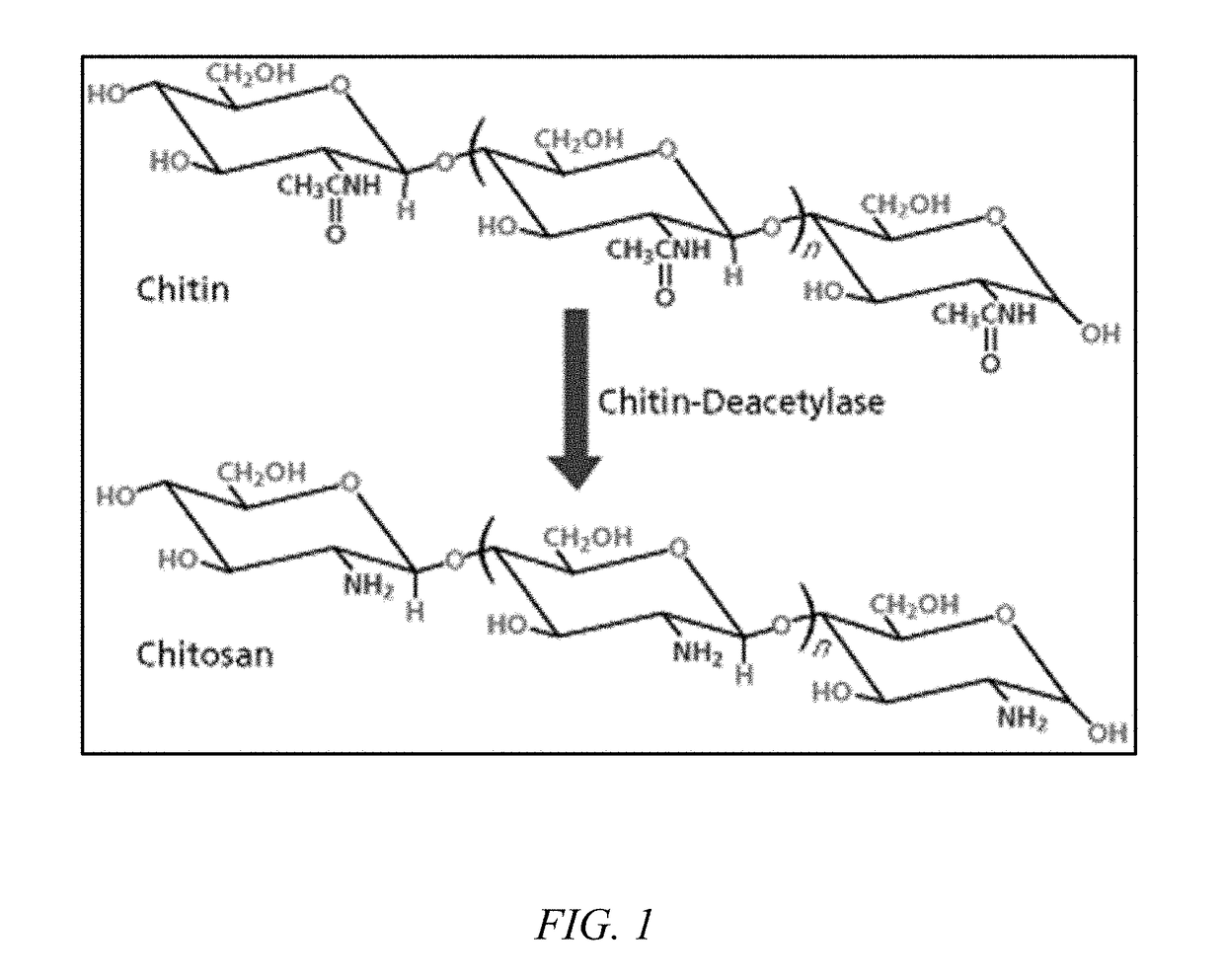 Device for sterile uterine sampling and drug delivery