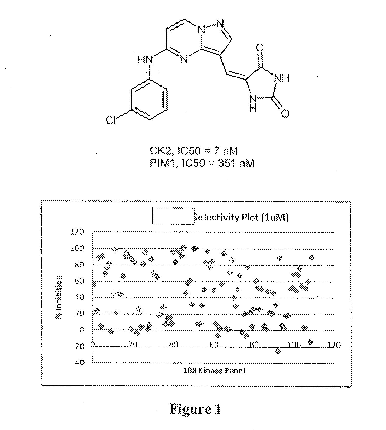 Pyrazolopyrimidines and related heterocycles as ck2 inhibitors