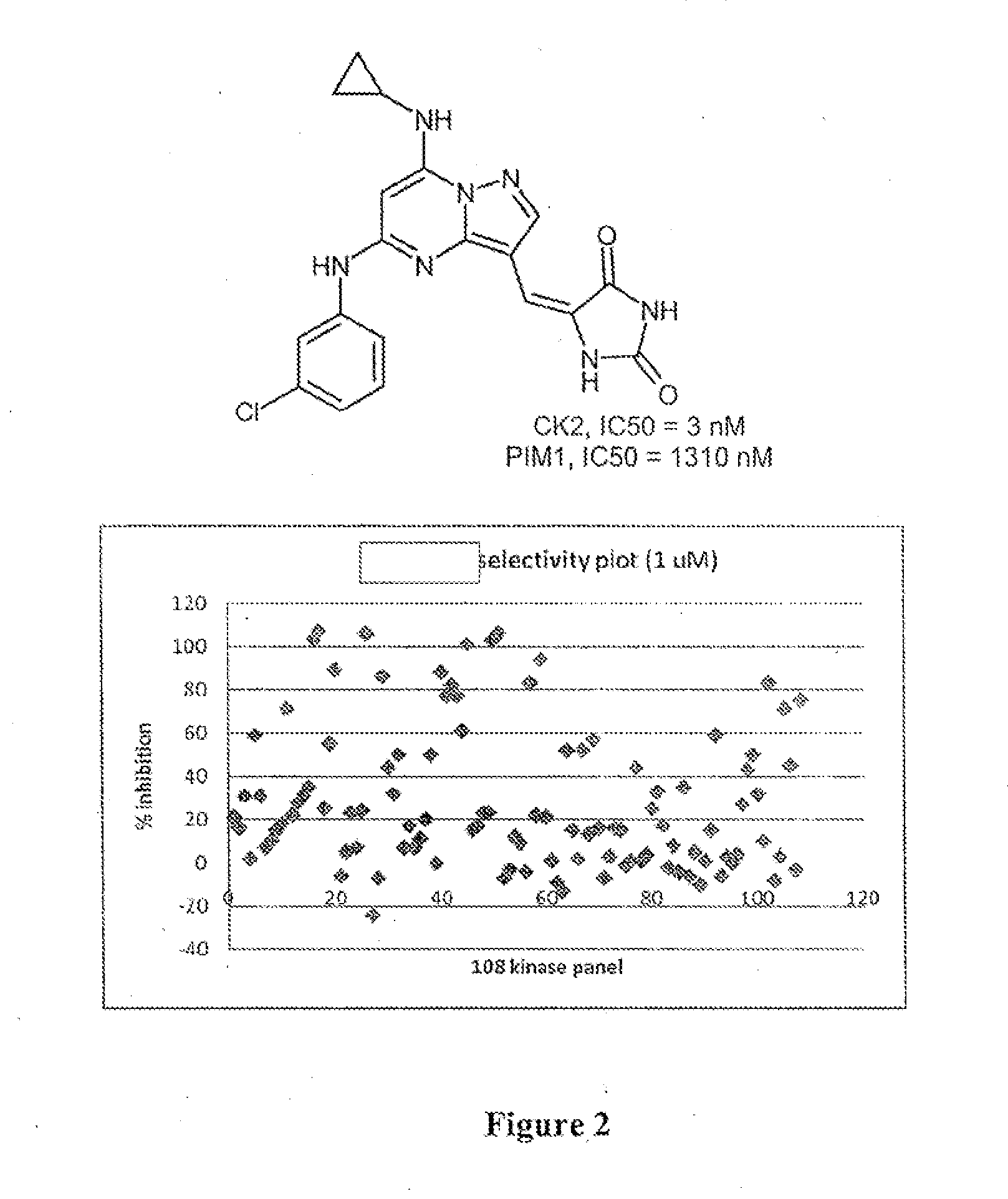 Pyrazolopyrimidines and related heterocycles as ck2 inhibitors