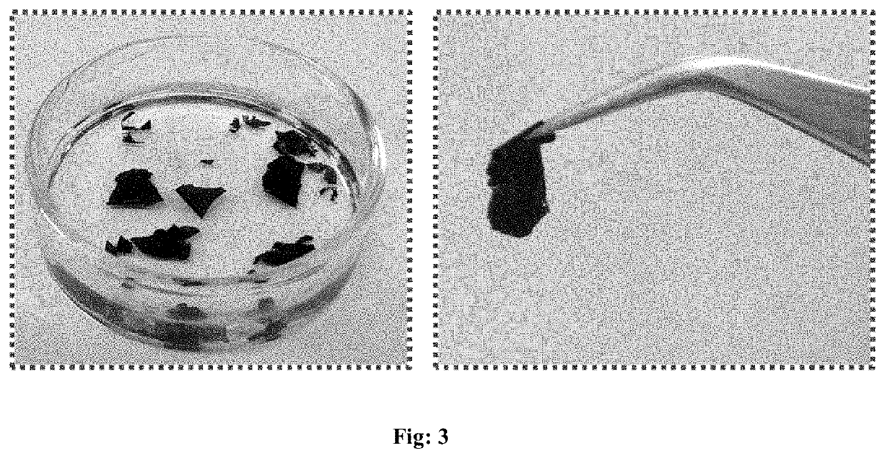 Metalloporphyrin 2d-sheets for efficient photo- and electro- catalytic splitting of water