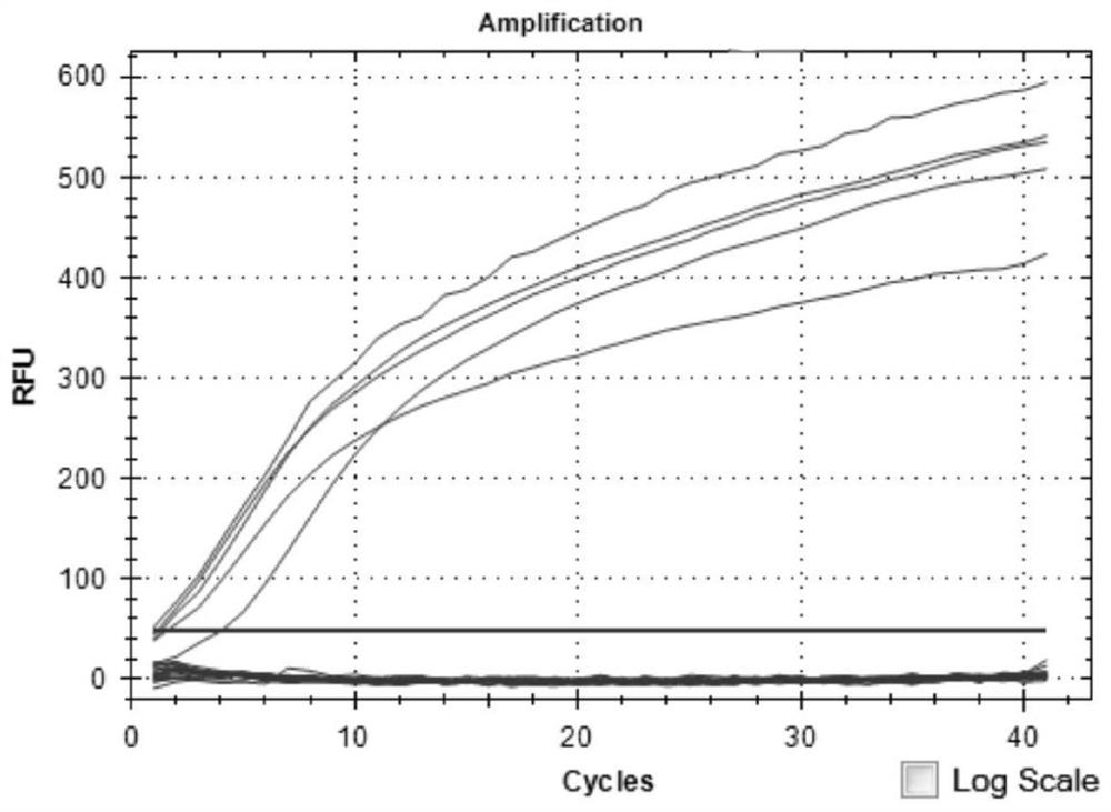 Nested fluorescent quantitative PCR (Polymerase Chain Reaction) detection method for Lyme disease spirochetes